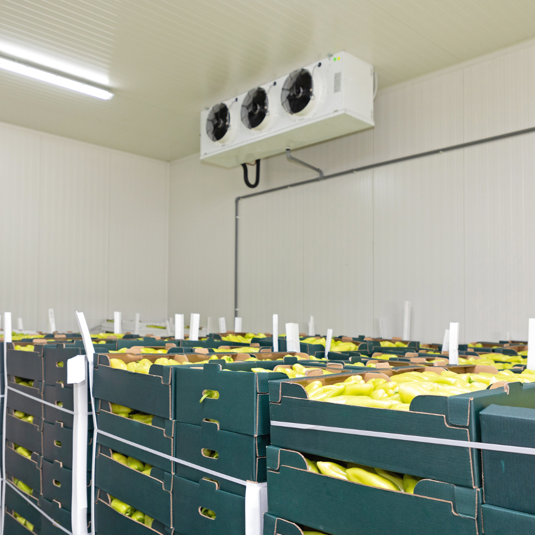 Air Treatment Solutions | Biozone Manufacturing