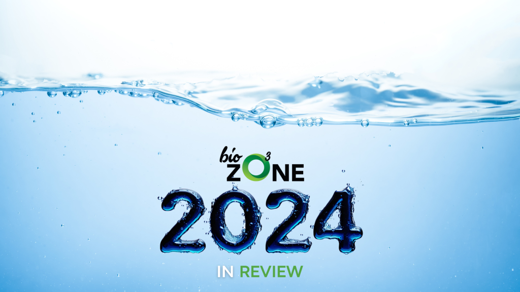 2024 in Review Blog Image
