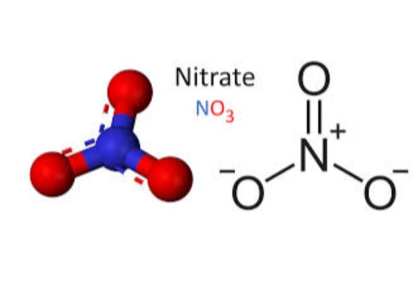 nitrate-1